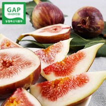 GAP인증 전남 해남 무화과 20팩 9~9.3kg(95~100과 내외), 단품