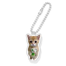 생쥐 인형 아기 고양이 아크릴 키링, 볼체인 실버