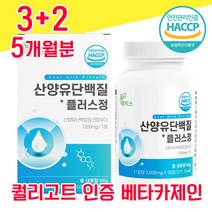 네덜란드 산양유 단백질 해썹 사양유 산야유 상양유 60% 베타 미셀라 카제인 담백질 분리 유청 단백 WPI 고함량 고순도 프로틴 프로테인 유청 칼슘 BCAA 퀄리고트 알약 물과함께, 3+2 5개월분 - 다니마켓