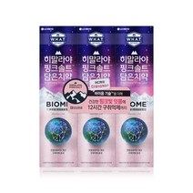 댕Ol몰 히말라야 핑크 솔트 담은 치약 100g 바이옴테크놀로지향, 3개입