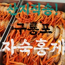 산지직송 구룡포 홍게 3kg 5kg 일반형 프리미엄형 품질보증 100%, 프리미엄형 3kg(10~12마리)