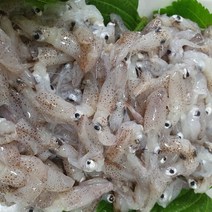 서해안 자연산 꼴뚜기 급냉 호래기 500g, (급냉)호래기1kg