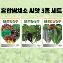[왕까마중] 바이오필리아 채소 텃밭세트 + 식물 이름표 랜덤발송, 10종 모듬쌈채