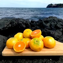 귤사랑 제주 감귤 서귀포 직배송 귤 소과 로얄과 대과 2.5kg 3kg 5kg 10kg, 로얄과(2S~M), 5kg, 1개