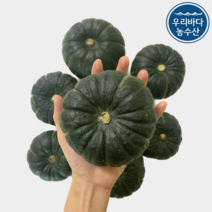 국내산 밤호박 미니 단호박 밤단호박 보우짱 3kg 5kg
