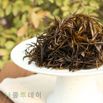나물투데이 국내산 생 톳 300g 1개 톳나물 국산 생톳
