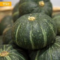 맛있는 해남 미니밤호박 4kg