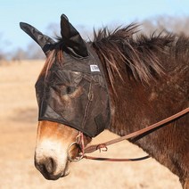 Cashel Quiet Ride 귀가 달린 뮬 플라이 마스크 블랙 뮬 이유식, Mule, Yearling