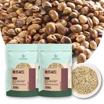 유기농 햄프시드 캐나다산 프리미엄 대마씨 대마씨앗 식물성 대마종자 HEMPSEED HEMP 햄프씨드 대마씨유 오일 대마유 CBD오일 대마종자유 추출 원료, 2개, 500g