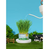 고양이 풀 캣그라스 캣닢 밀 씨앗 키우기 간식 깡통 캔 키트 세트, 기본선택, 6캔