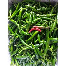 매콤 업소용 청양고추 10kg, 1개