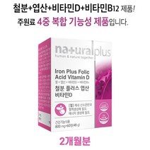 철분 엽산 비타민D 비타민b12 4가지 복합기능성 60정, 1개, 800mgx60정