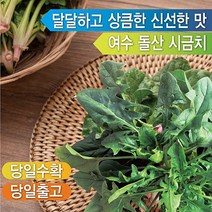 돌산 섬초 노지 여수 돌산 시금치 4kg