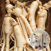 세척 난발삼 200g(10뿌리 내외)+삼계탕 국물재료 100g 백숙재료 가정용 삼복 초복 중복 말복 보양식, 2722_세척 난발삼 200g+국물재료 100g