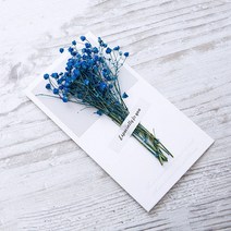 생일축하카드 팝업카드 메세지 세트선물 카드 결혼식 초대장 인사말 카드, 07 Gypsophila blue