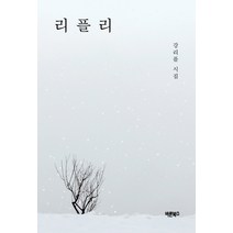 리플리:강리플 시집, 바른북스