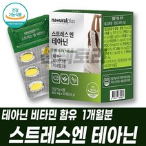 stress 테아닌 마그네슘 비타민B6 엘테아닌 아연