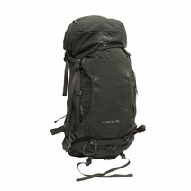 Osprey 남성용 케스트럴 48 등산 백팩 로크 블루 M/L, Medium/Large, Picholine Green