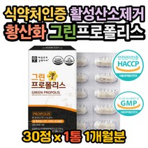 그린프로폴리스 프로폴리스 플라보노이드 아연 초유 그린프로폴리스효능 프로폴리스효과 프로폴리스효능 프로폴리스권장량 호주프로폴리스효능 활성산소 산화방지 세균저항 항산화제