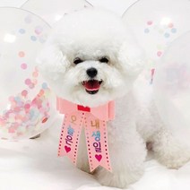 핑크캔디 강아지 고양이 리본화환 생일파티 강아지화환, 리본화환(컬러밴드)_블랙(오로라)