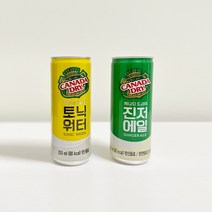 캐나다드라이 250ml 소캔 진저에일 / 토닉워터 혼합 30캔