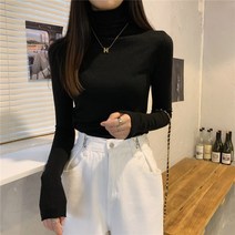 패션디바 여성용 가을 겨울 봄 간절기 슬림핏 데일리 무지 폴라 니트 터틀넥