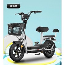 강아지전기자전거 부모자전거 펫바이크, 블랙리튬배터리 100km리터치 충전 가능, 48V, 12아