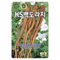 백도라지씨 1000립 도라지 씨앗 대장 KS종묘, 1개