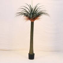 드라세나 드라코 조화(160cm), 상세페이지 참조
