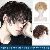 곱슬머리 파마 남성가발 블랙 스핀스왈로펌 남자 아이돌 통가발, 1개, 골드C
