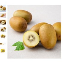 [백화점납품과일 당일배송]백화점프리미엄과일 제스프리 골드키위 가정용 매일경매입고 과일선물 과일주스 항공직송 고당도 프리미엄 / 가락시장, (특1등급)골드키위 5.8kg 내외(40-45수)