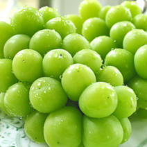 고당도 특품 김천 샤인머스켓 씨없는 청포도 망고포도 샤인머스켓 2kg 김천 샤인머스캣, 1.샤인머스켓  2kg  특품 3~4수