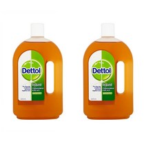 [2개]Dettol Antiseptic Disinfectant Liquid 750ml, 2팩