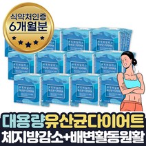 대용량 hca 다이어트 800mg 유산균 다이어트 6개월분 식약처인증 탄수화물 지방합성억제 흡수억제 가르시니아캄보지아 추출물 20대 30대 40대 배변원활 장건강 보조제