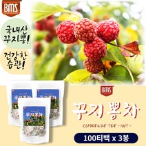 무첨가100% 구지뽕 잎 추출물 가루 찻잎 100 티백 3봉 시원하게 마시는 커피대용 카페인 없는 국산 꾸지뽕 잎 타 건강 차 몸에 좋은 물처럼 마실수있는 중년 장년 부모님 선물