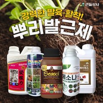 뿌리발근 활착제 메소나 랜드콘JS 씨솔 자바라 발근력 강력한 뿌리 인기제품