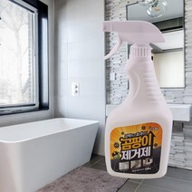 벽곰팡이제거제 실리콘 창틀 베란다 텐트 벽지 곰팡이제거 750ml