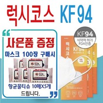 [와이지메디컬] 국산 일회용 KF 94 대형 마스크 학원용 학교용 kf94 손세정제 손소독제 리필 손세정액 덴탈 유아 방역 100매 개별포장, 상품고르기
