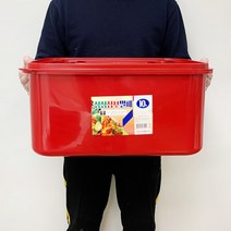 착색 될 걱정없는 플라스틱 대용량 김치통 10호 25L, 밀폐용기10호