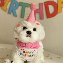 강아지 생일파티 케이프 빕 턱받이 고양이 애견 생일상 파티소품 고깔모자 세트, 핑크