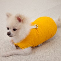루비디 웨이브 하네스 강아지패딩, 망고