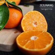 고당도 제주 노지 감귤 10kg 산지직송, 1박스