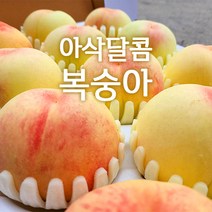 산지직송 영동복숭아 아삭달콤 딱딱이복숭아 부드러운 황도 백도 복숭아 가정용 선물용 왕특 특대 대 2.5kg 2kg 4kg, 부드러운 황도백도 복숭아 2.5kg 선물용(왕특/8입)