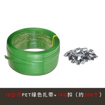 휴대용 밴딩기 밴딩 기계 노끈 결속기 소형 수동 포장기 반자동 PVC, Q1kg버클+10kg1608pet