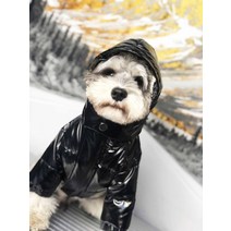 강아지 의류 패딩 소형견 중형견 디자이너 애완견 의류 겨울용 따뜻하고 두꺼운 스와아날 벨벳 강아지 재, 01 Black_03 L