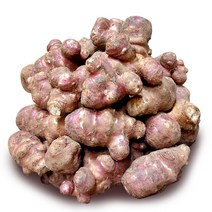 뜰안애 국내산 자색 생 돼지감자 5kg, 1박스