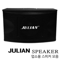 줄리앙 JULI 동전코인 노래방 스피커 고급형, JULI-1000(10인치) 개당