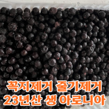 23년산 최상급 고창 농장직송 꼭지제거 줄기제거 싱싱한 생 아로니아 아로니아생과 생아로니아 아로니아 생과 특품 고창아로니아, 5kg