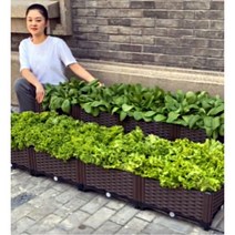 베란다텃밭 플랜트박스 마이플랜트 집에서채소키우기 집에서야채키우기 집에서상추키우기 재배상자 홈가드닝 대형 저면관수 화분, 브라운 (갈색)