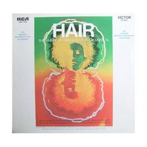 제롬 라니 제임스 라도 Gerome Ragni James Rado Hair LP 음반 바이닐 레코드 앨범